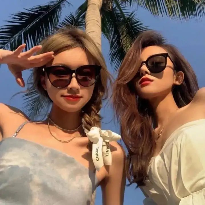 龙之家族