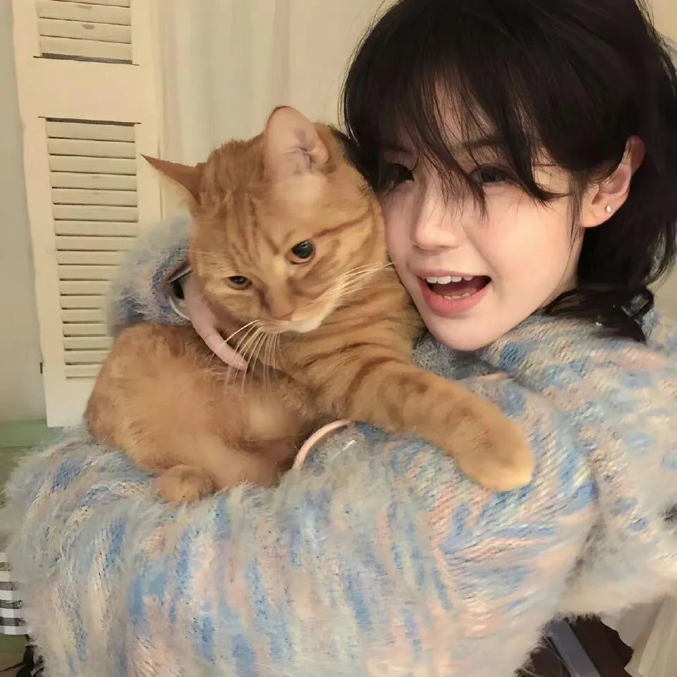 百合与直觉